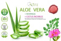 Aloe Vera Immun mit Cistus Incanus & Moringa