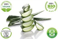 Aloe Vera Immun mit Cistus Incanus & Moringa